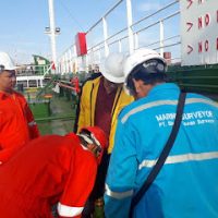 marine surveyor pt BOS